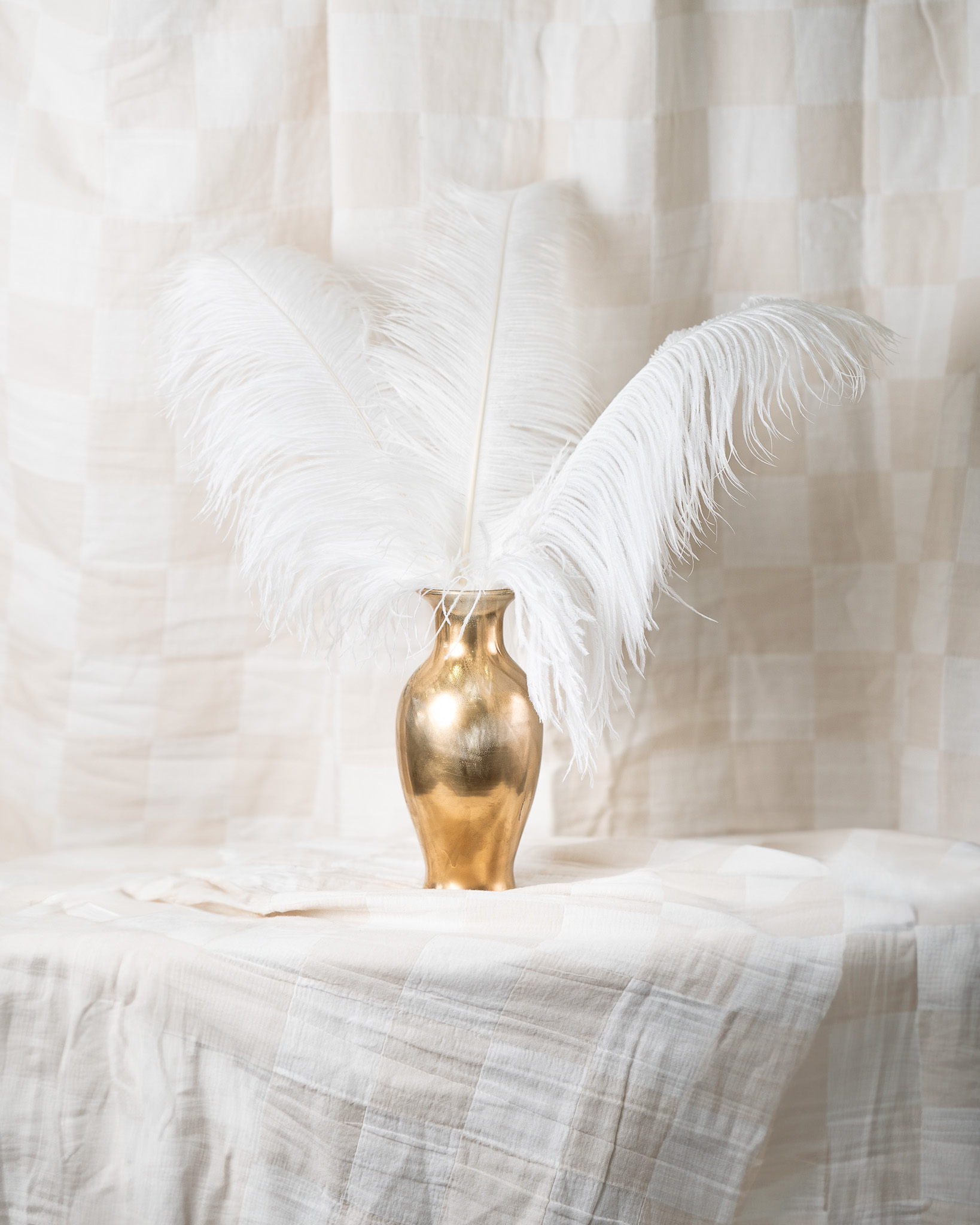 White Feathers