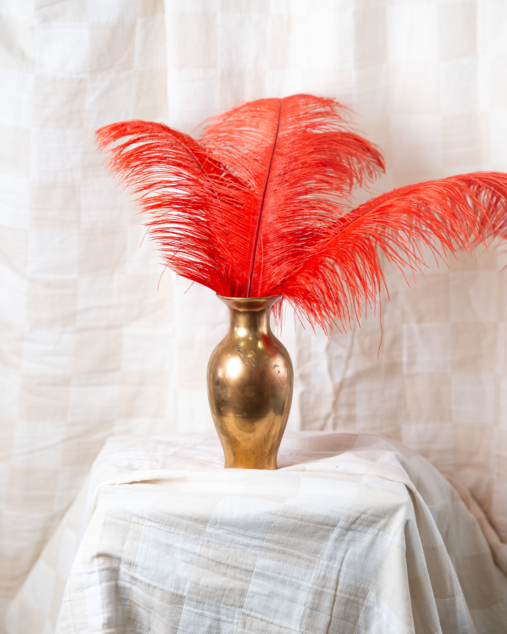 Red Feathers