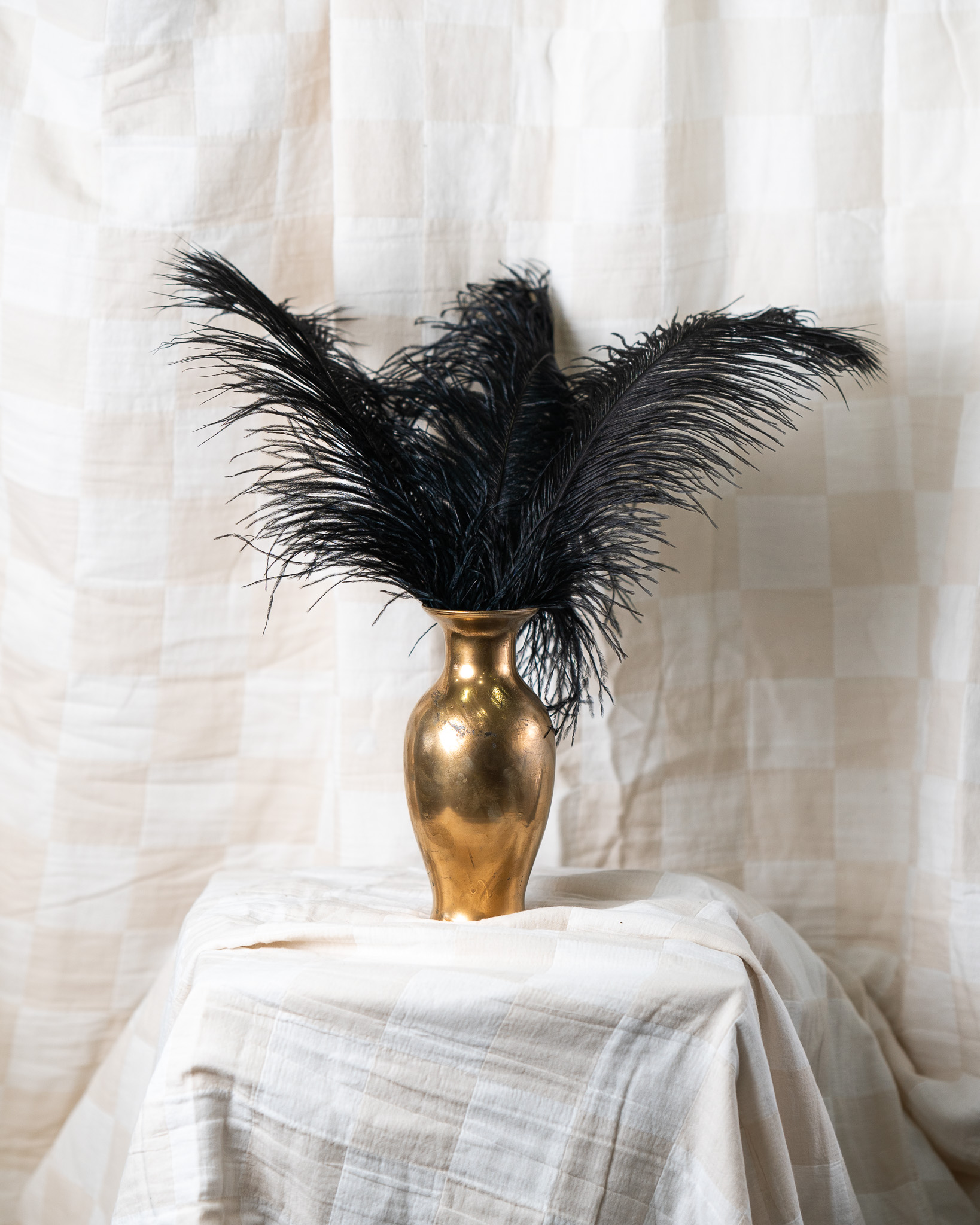 Black Feathers