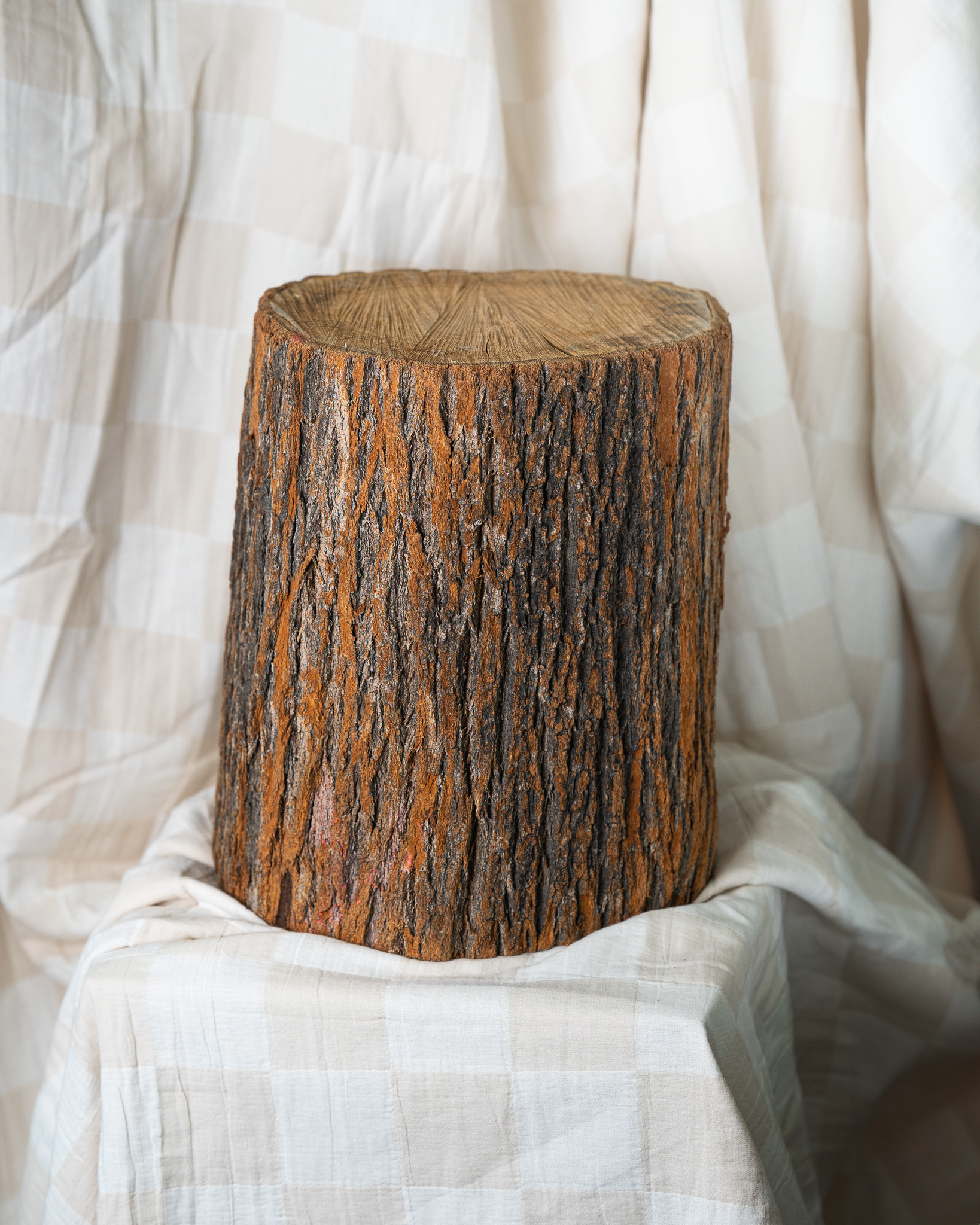  Wooden Stump